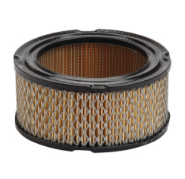 30-022 Air Filter, Briggs and Stratton