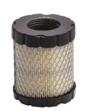 30-182 Air Filter, Briggs and Stratton