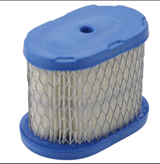 697029 - Briggs & Stratton Air Filter