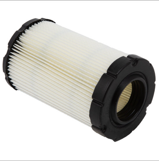 594201 - Briggs & Stratton Air Filter