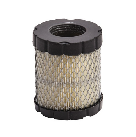 798897 - Briggs & Stratton  Cyclonic Air Filter