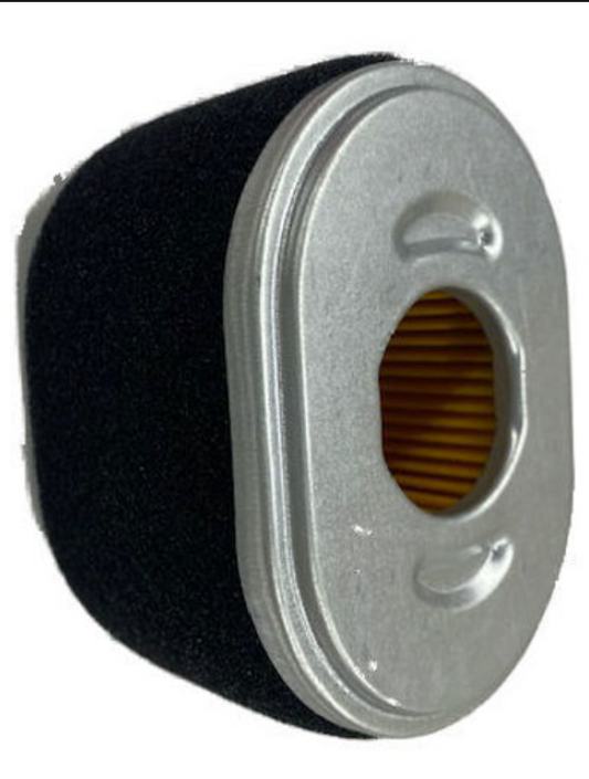 590601 - Briggs & Stratton Air Filter