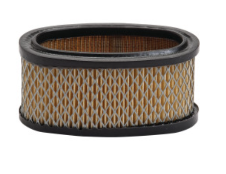 30-105 Air Filter, Briggs and Stratton