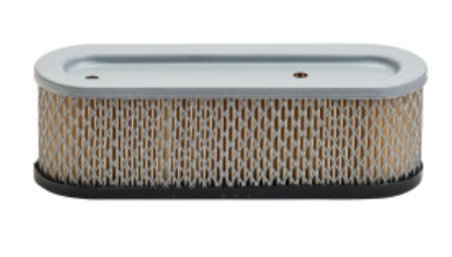 30-107 Air Filter, Briggs and Stratton